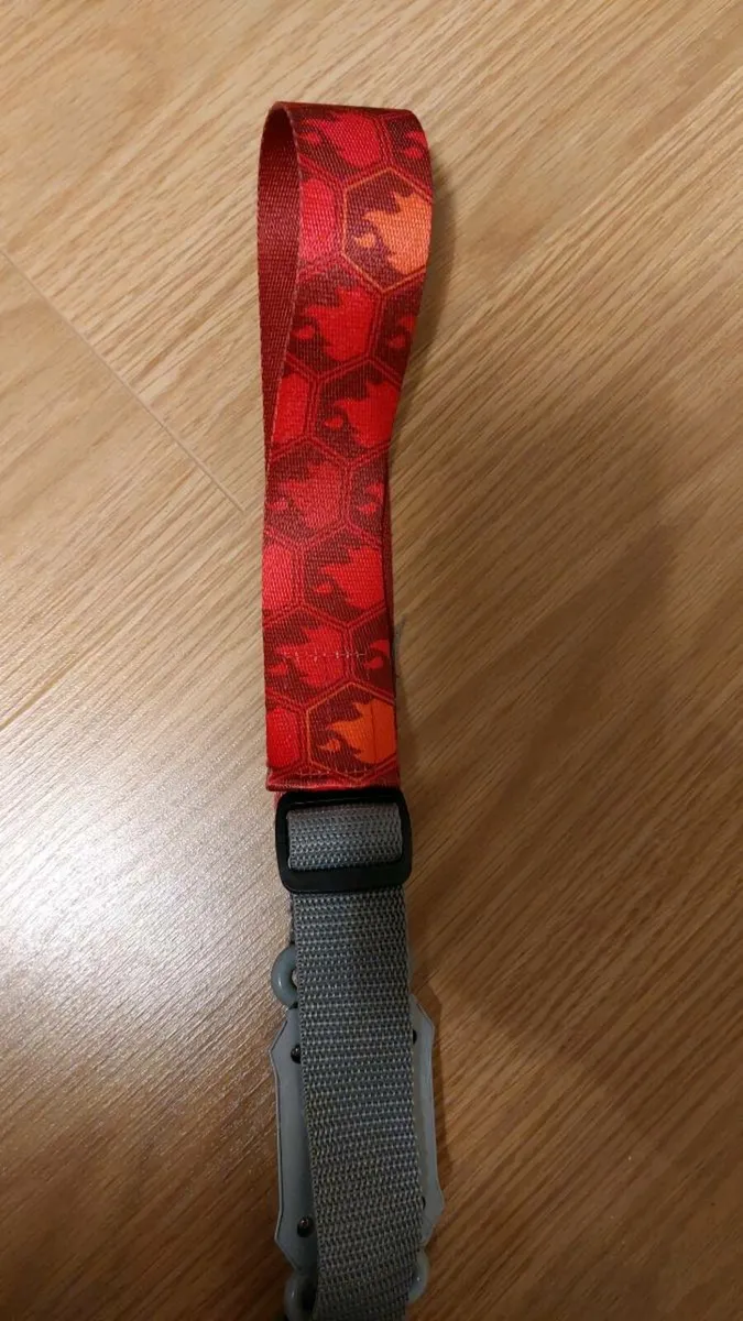 Pokémon belt and bag - Image 3