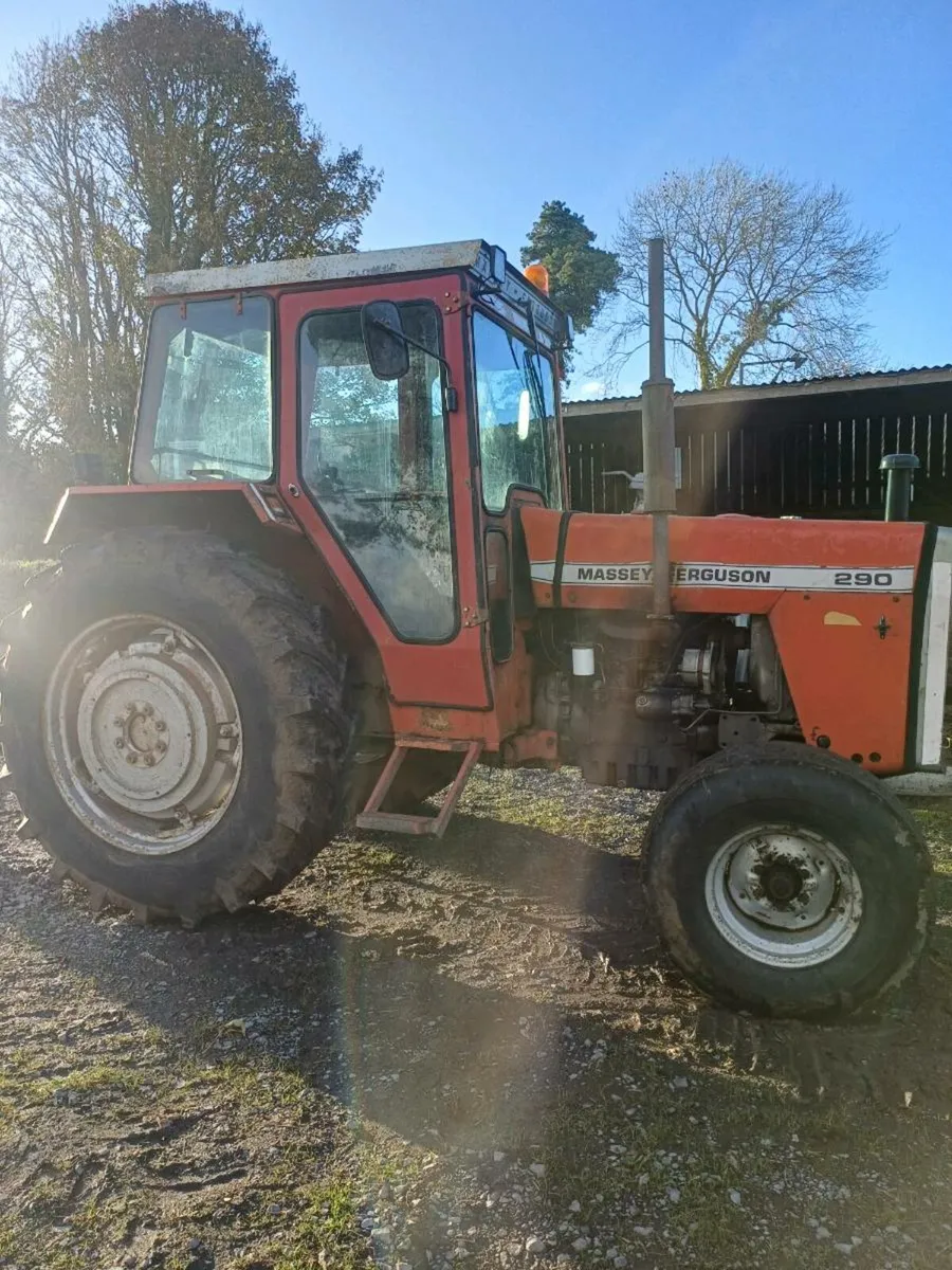 Massey ferguson 290 - Image 2