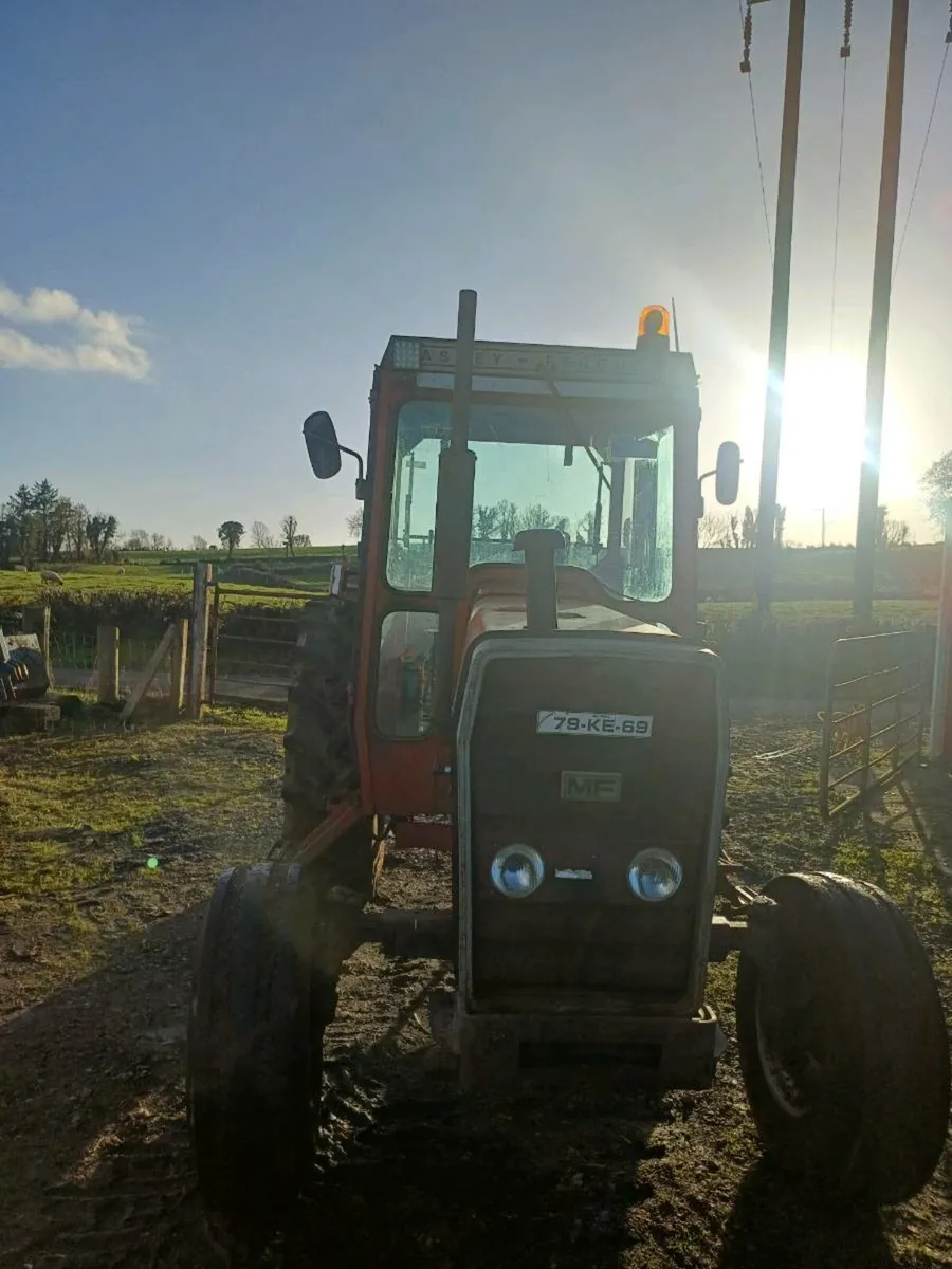 Massey ferguson 290 - Image 3