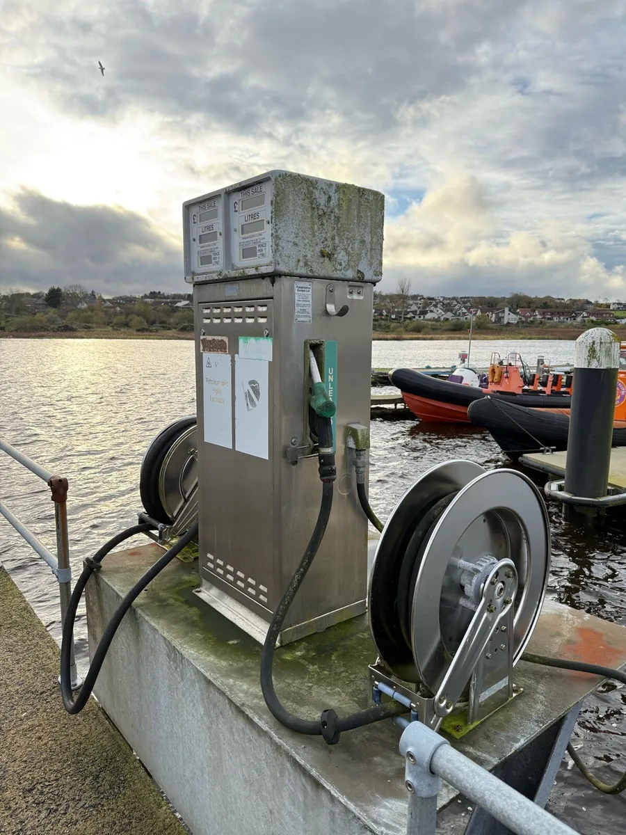Pumptronics Petrol Diesel Fuel Pump - Image 2