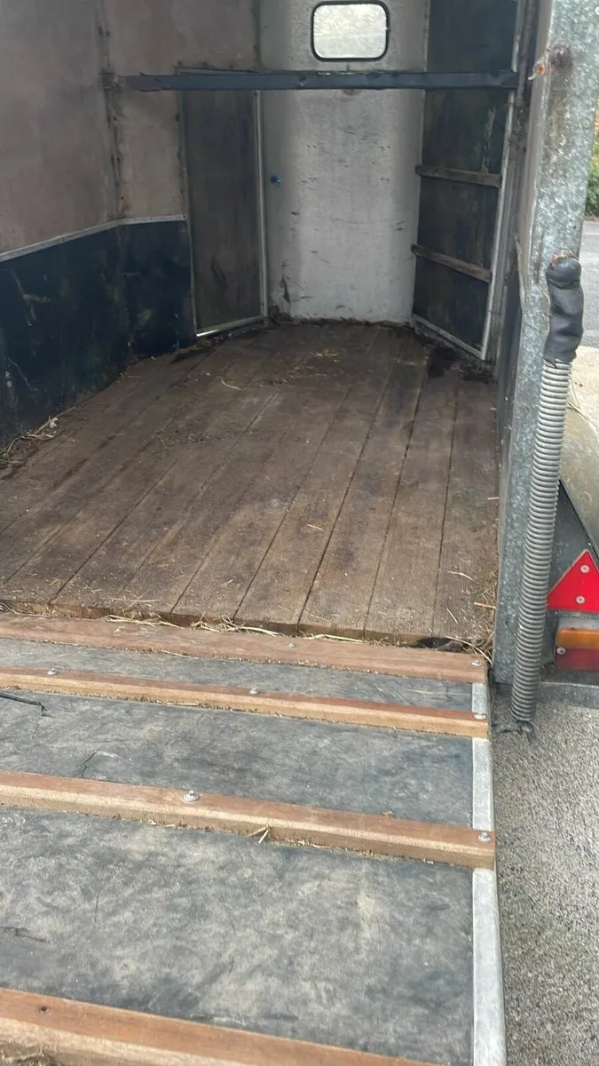 **HORSE BOX** - Image 2