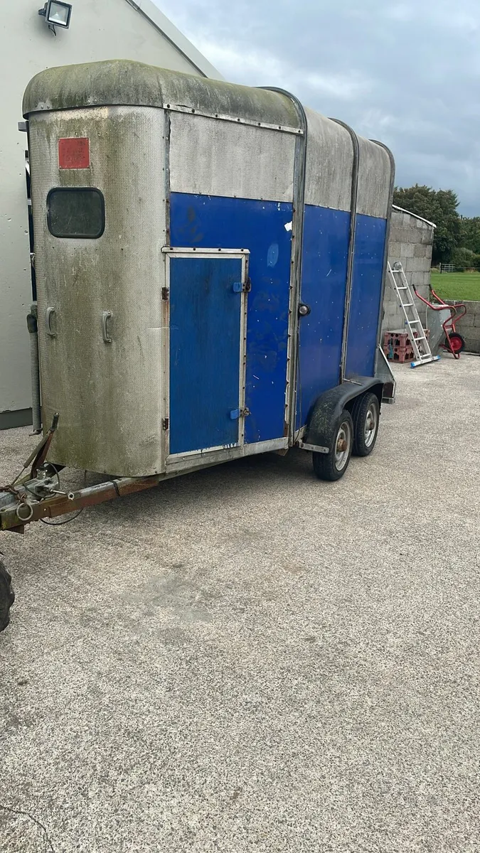 **HORSE BOX** - Image 1