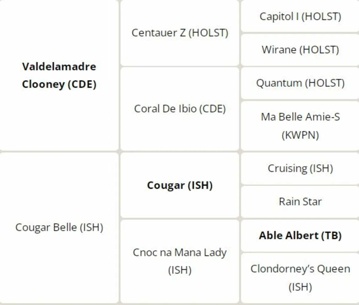 Future Eventing Star - Image 3