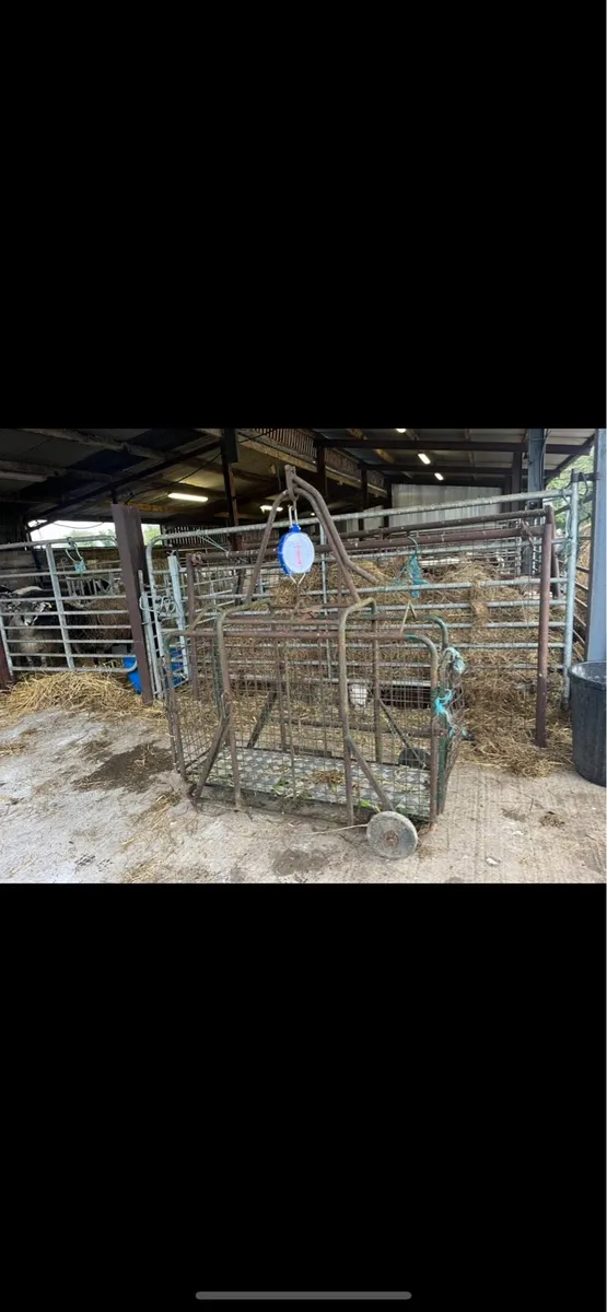 Weighting scales - Image 1