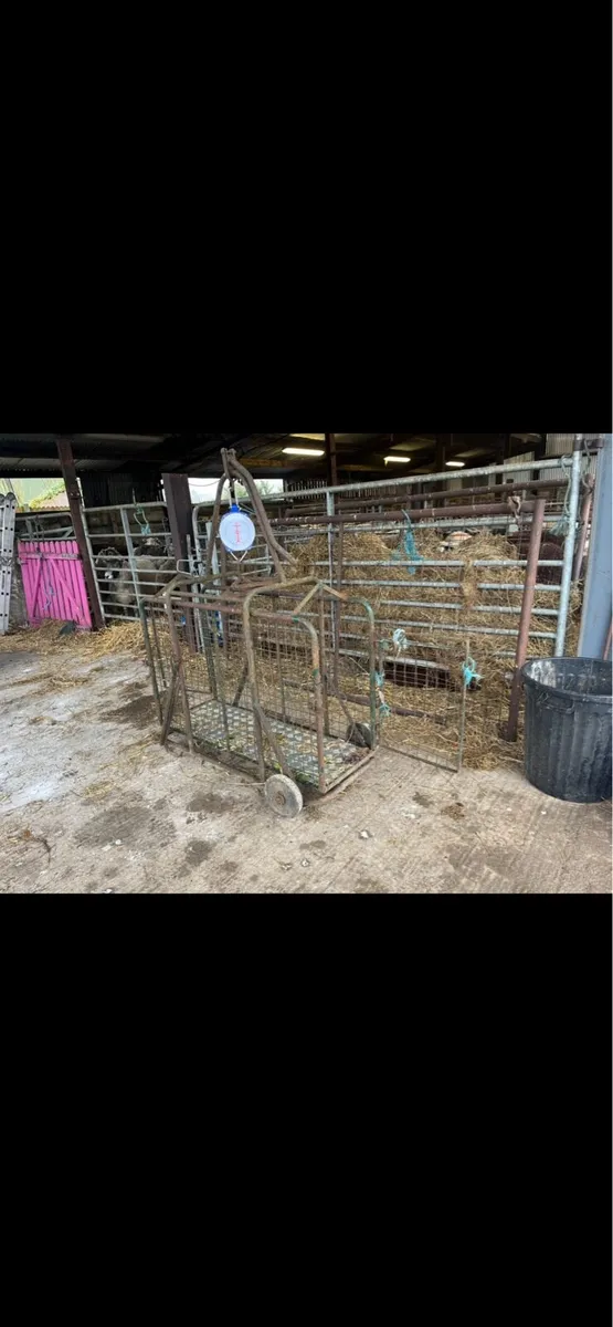 Weighting scales - Image 2