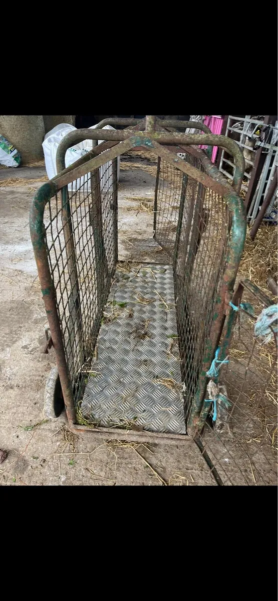 Weighting scales - Image 3