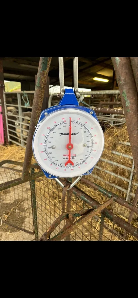 Weighting scales - Image 4