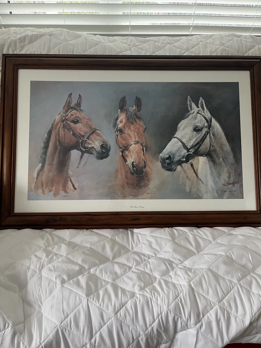2 Large Framed Pictures - Image 2