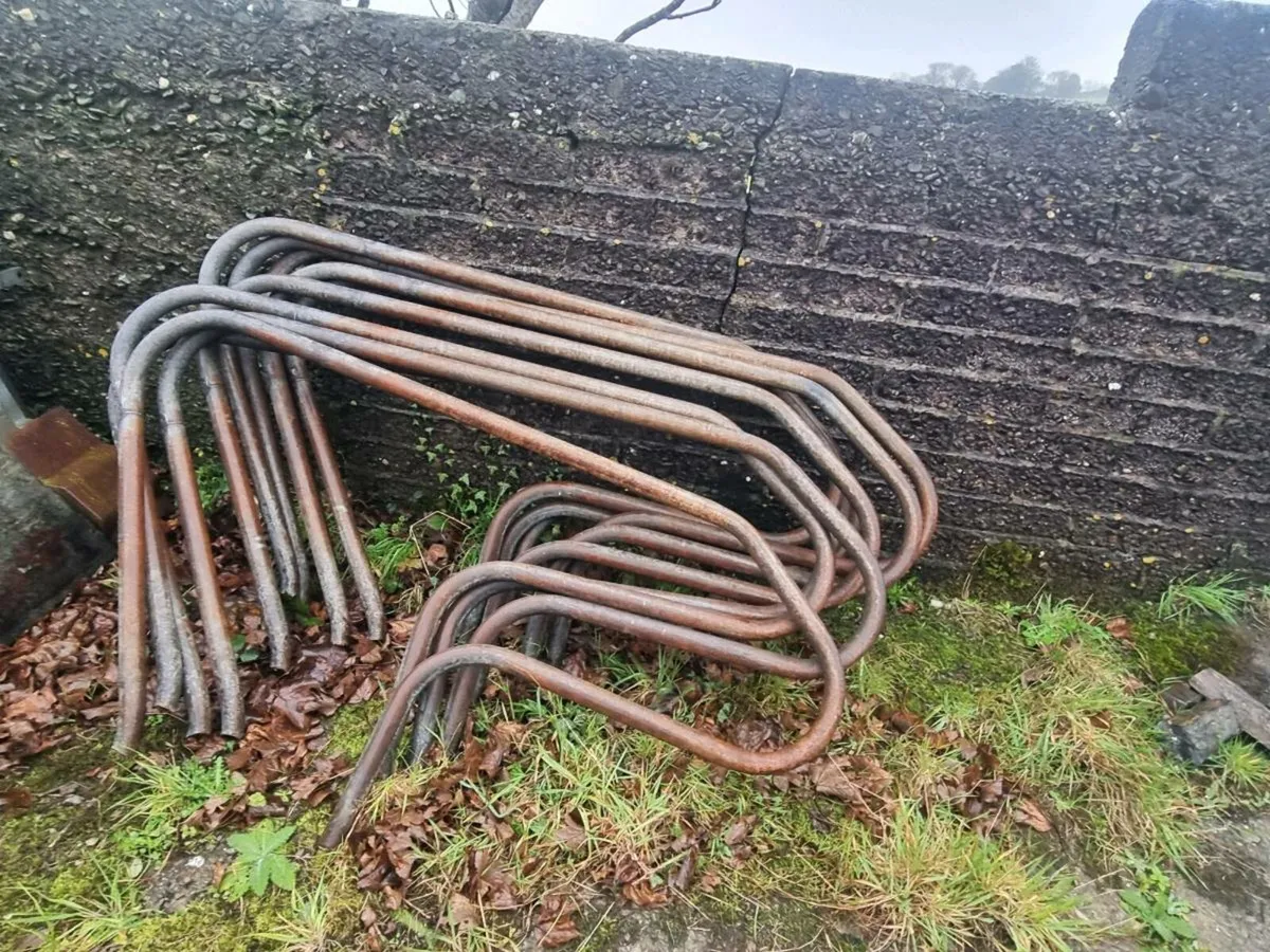 Cow cubicles - Image 2