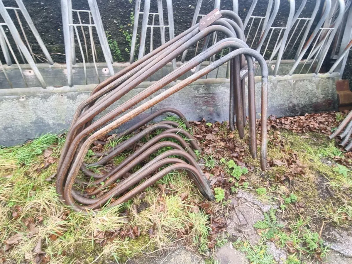 Cow cubicles - Image 1