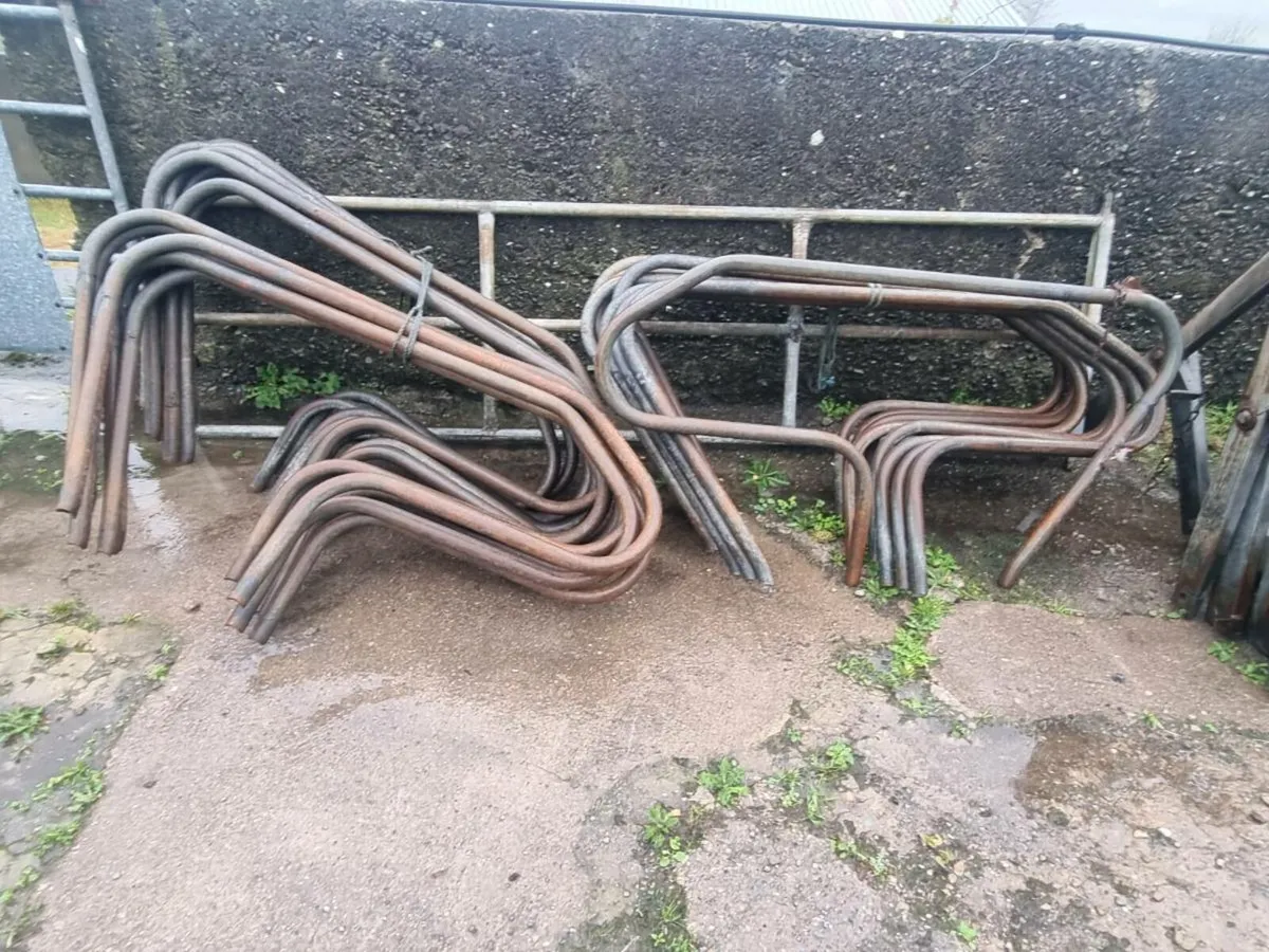 Cow cubicles - Image 3