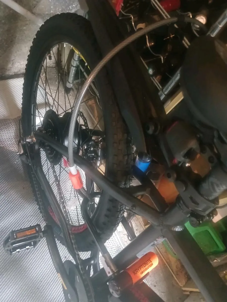 Electric Mountain bike - Image 3