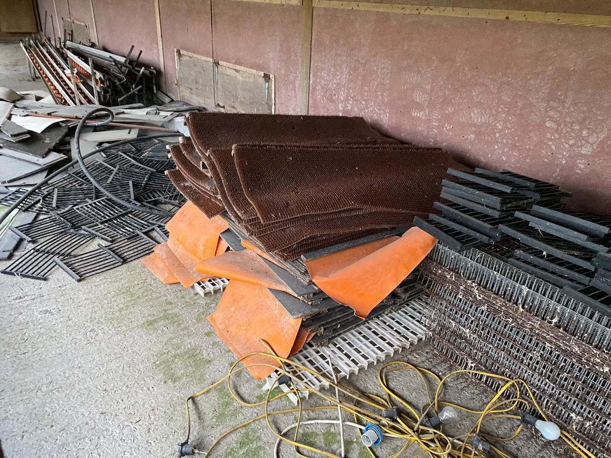 Poultry Equipment - Image 3