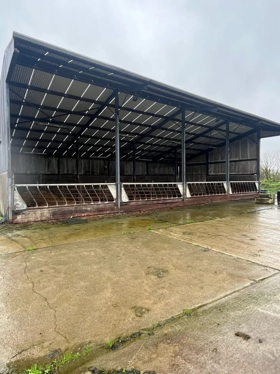 Cattle accommodation - Image 1