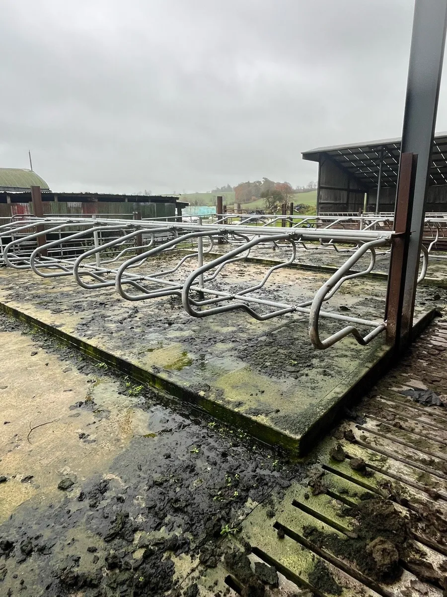 Cattle accommodation - Image 2