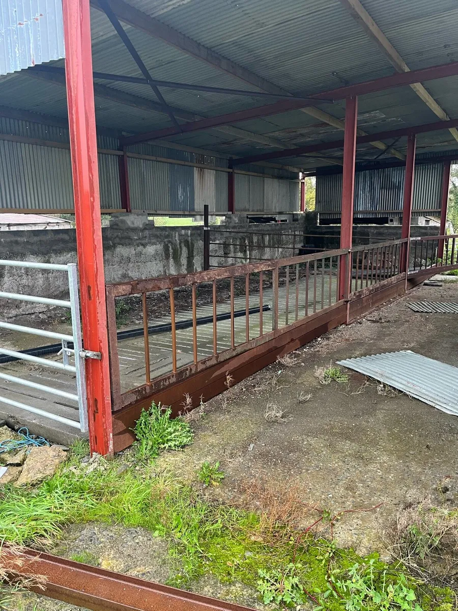 Cattle accommodation - Image 3