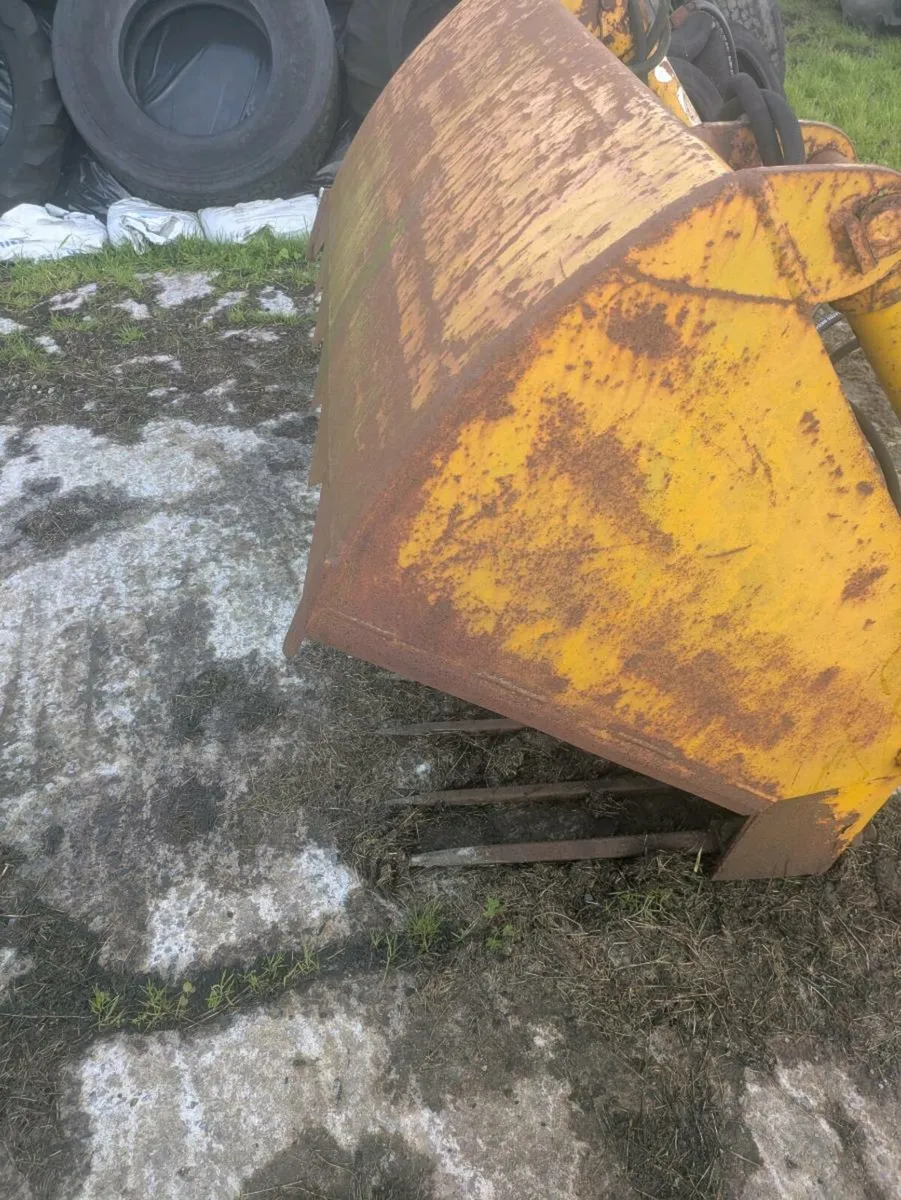 Johnston Bros shear grab - Image 3