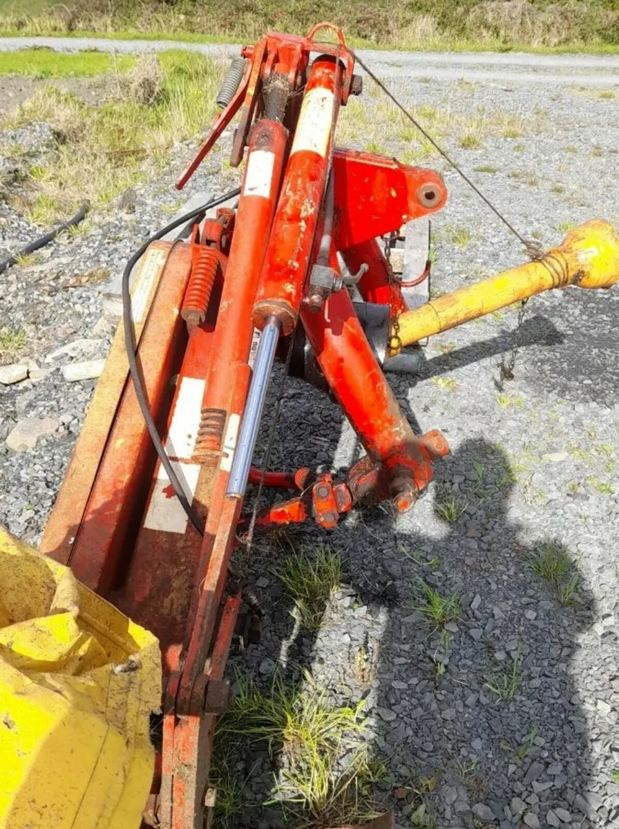 Yard clearance - Image 3