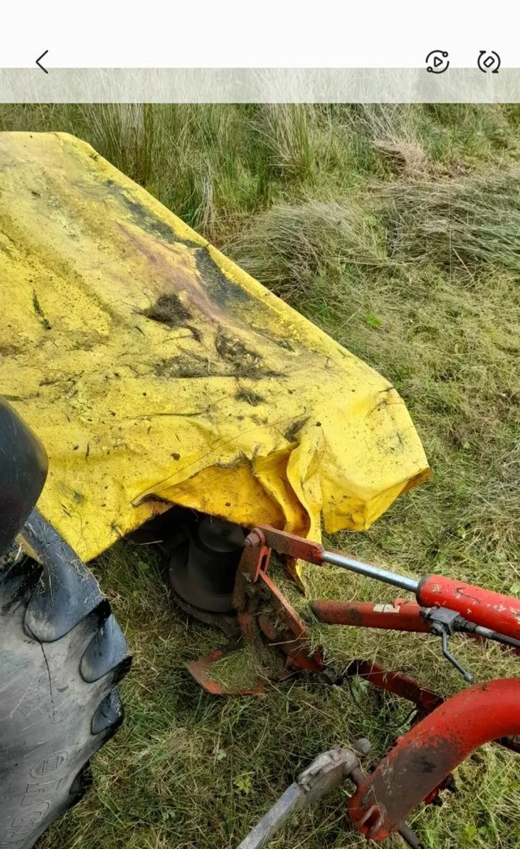 Yard clearance - Image 4