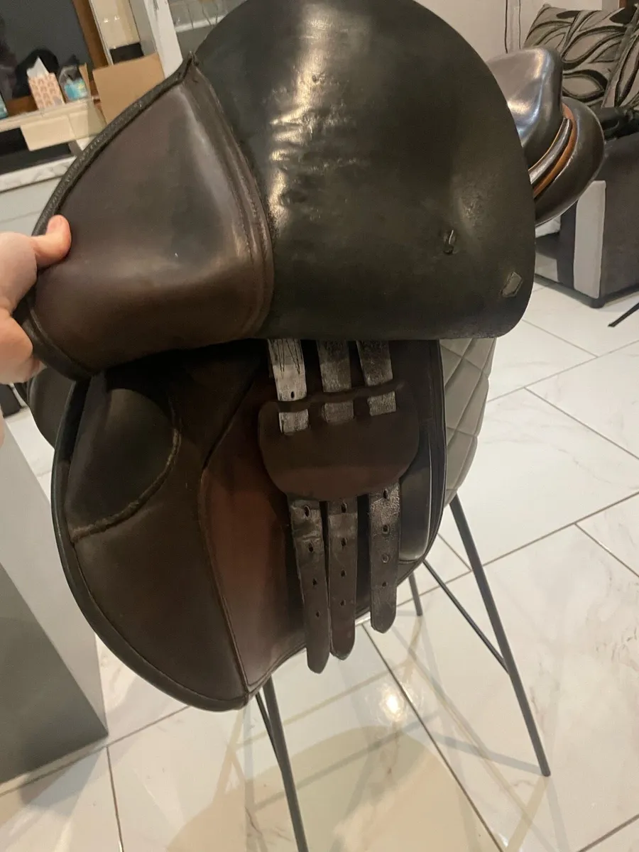 Berneys bro  saddle - Image 4
