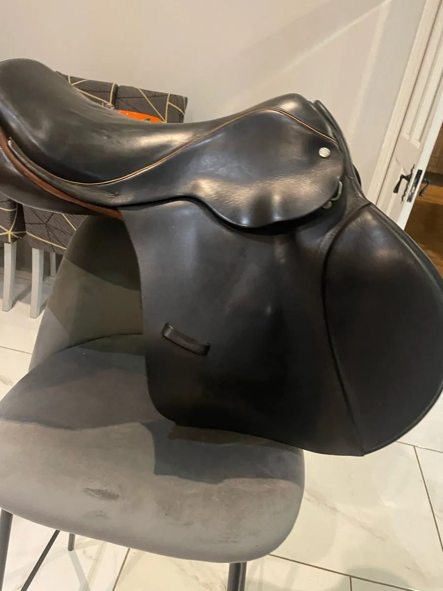 Berneys bro  saddle - Image 2
