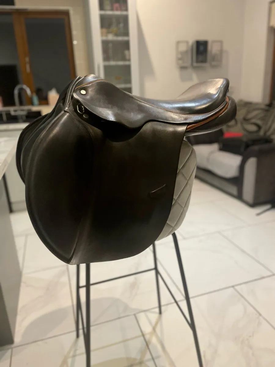Berneys bro  saddle - Image 1