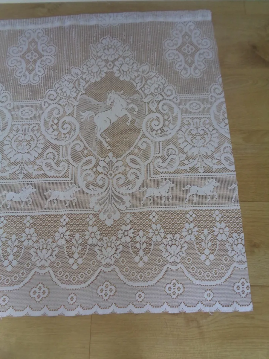 Net Curtain for Sale - Image 2