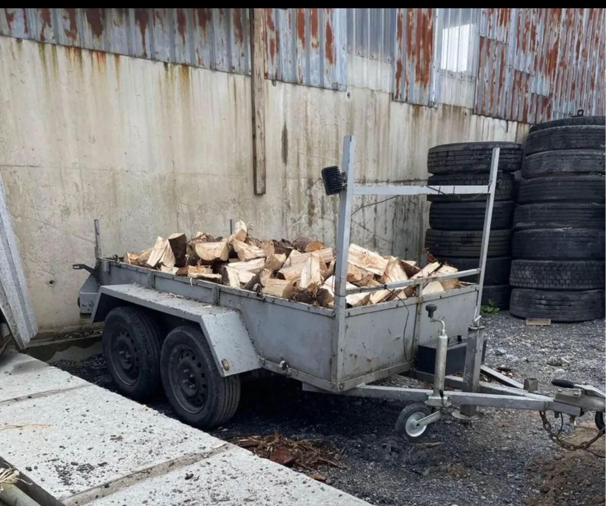 Trailer of firewood - Image 1