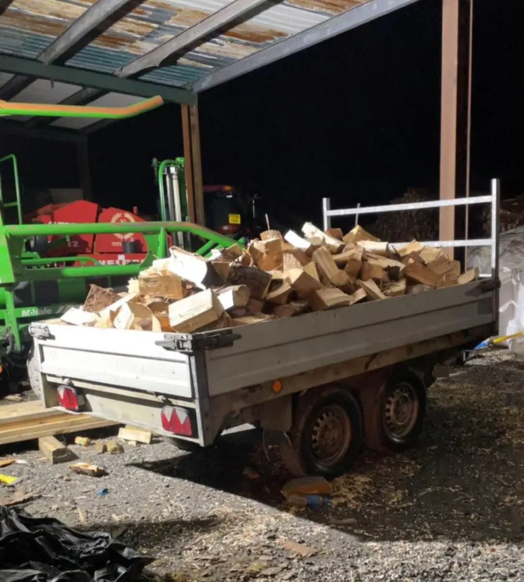Trailer of firewood - Image 2