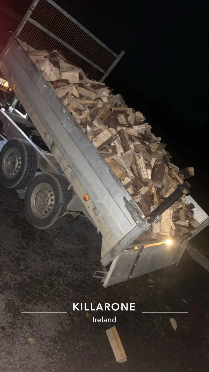 Trailer of firewood - Image 3
