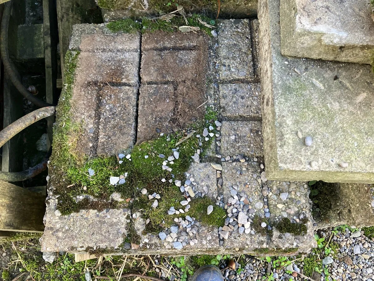 Paving slabs - Image 1