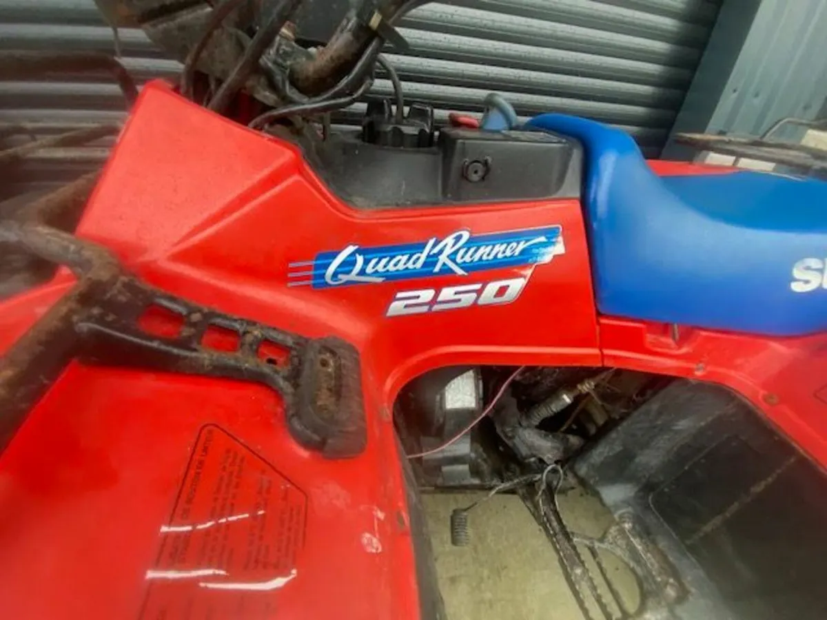 QUAD 250CC SUZUKI - Image 3