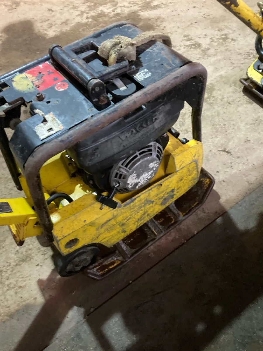 Diesel whacker - Image 4