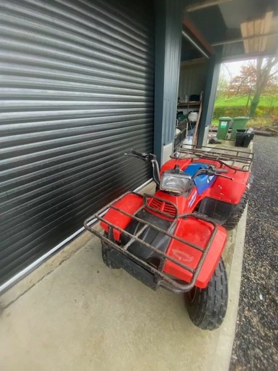 QUAD 250CC SUZUKI - Image 2