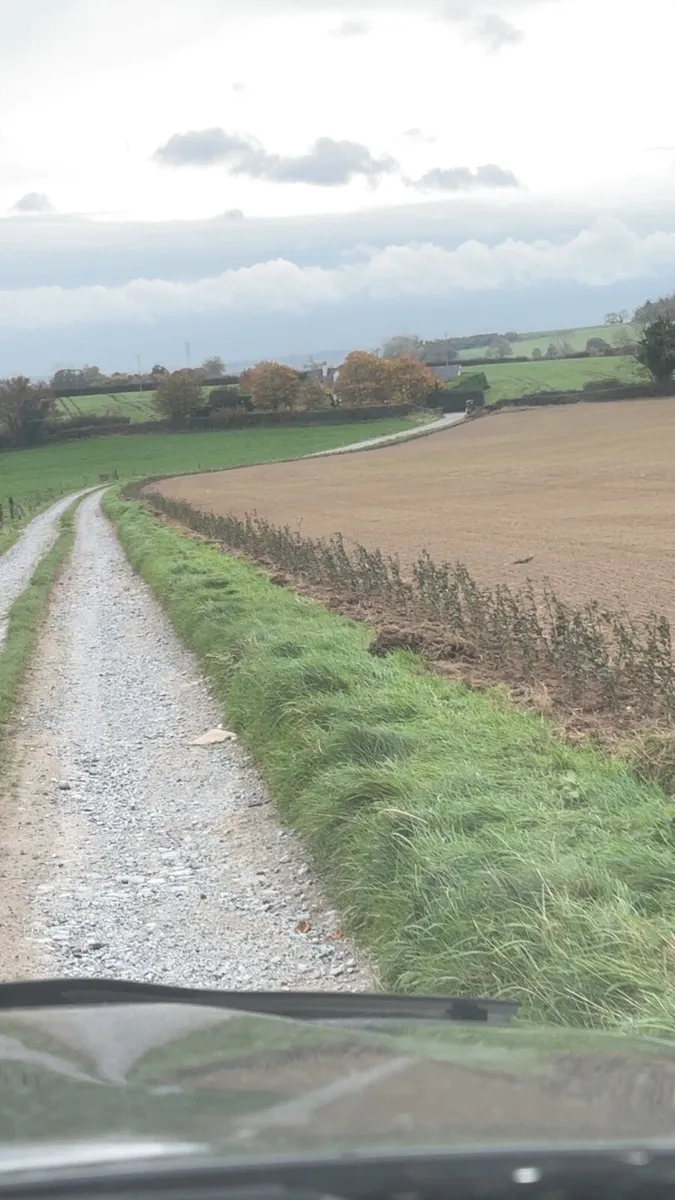 🇮🇪Whitethorn hedging dept reg supplier🇮🇪 - Image 3