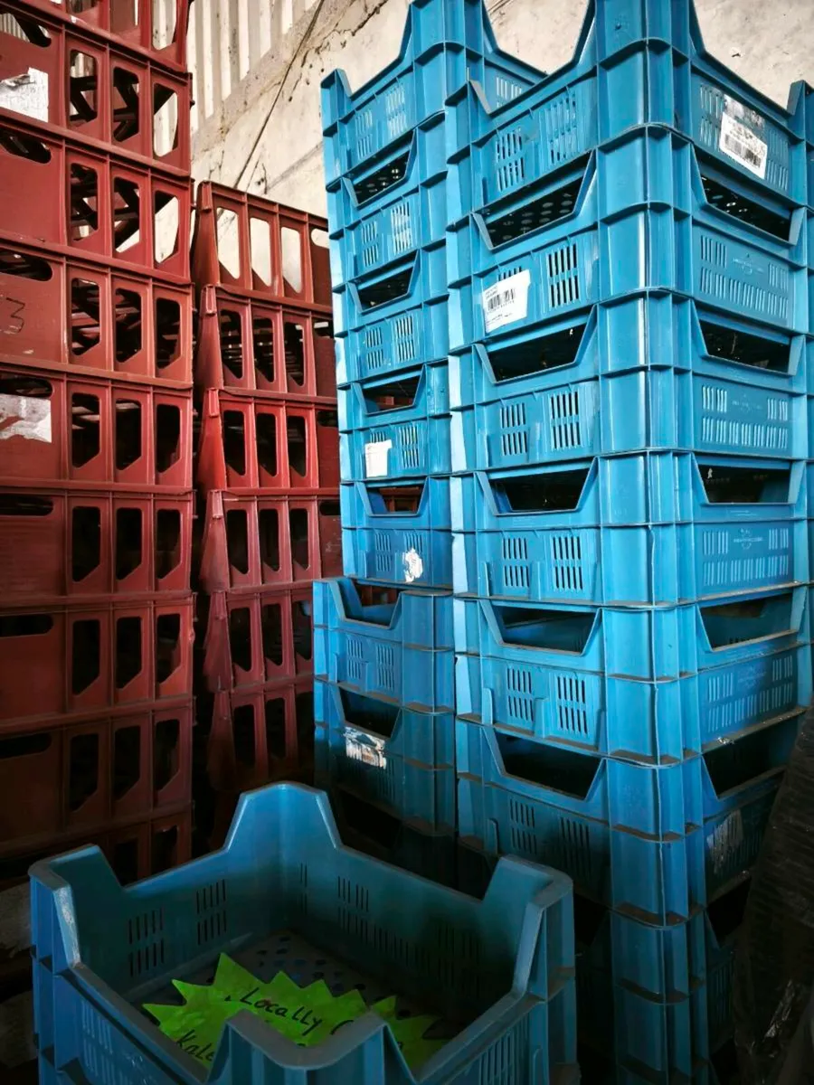 Tomato crates. - Image 2