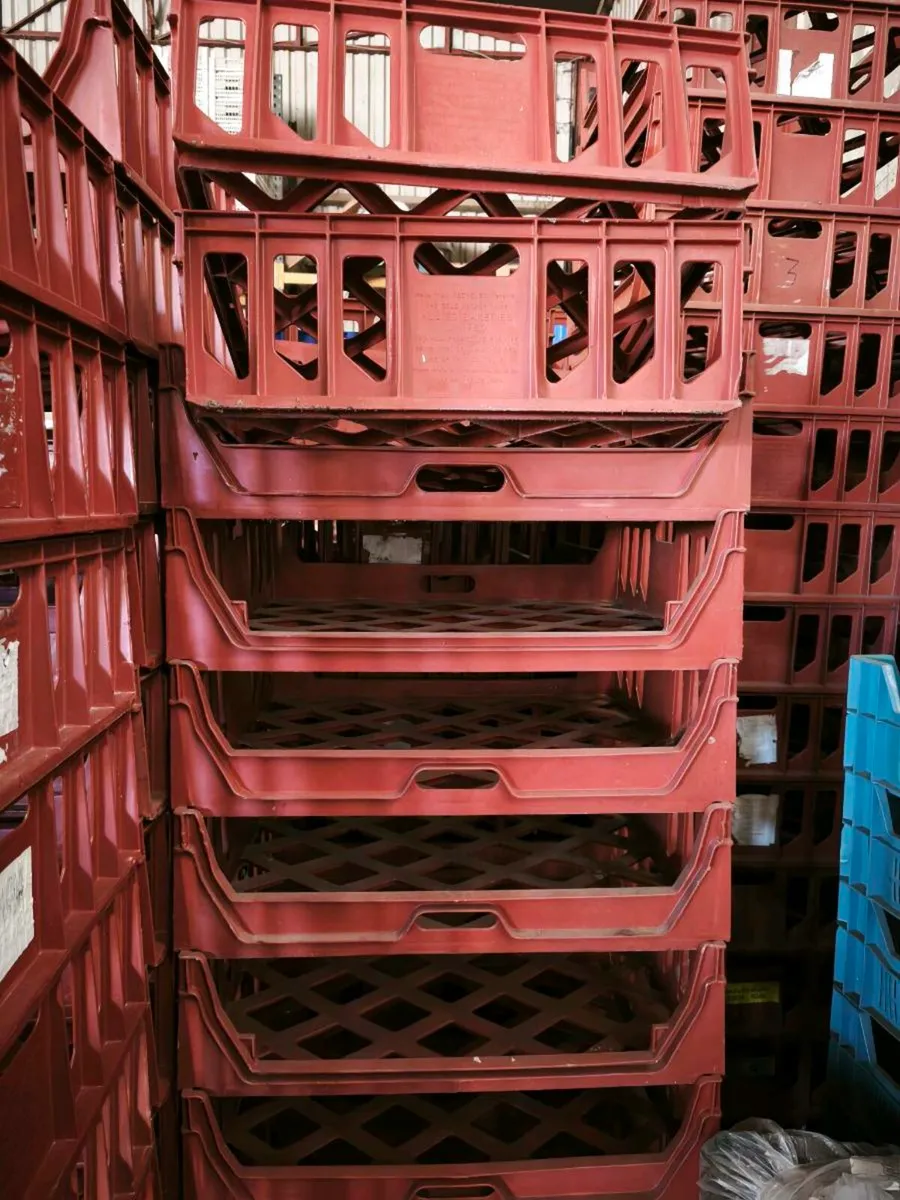 Bread crates - Image 1