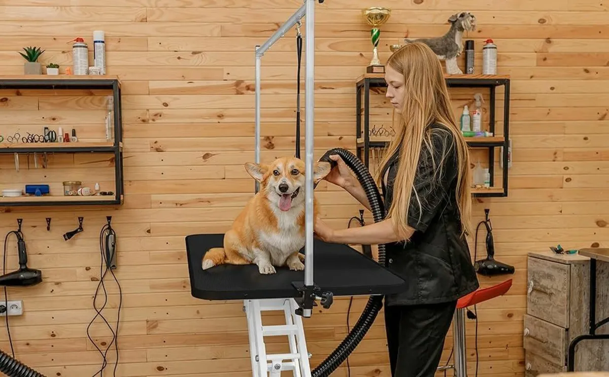 NEW Dog Grooming Table Hydraulic ..Free Delivery - Image 4