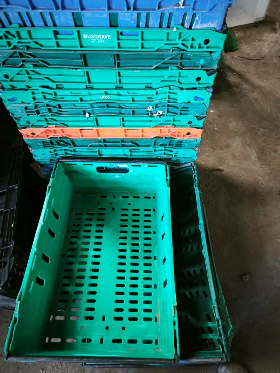 Plastic crates - Image 1