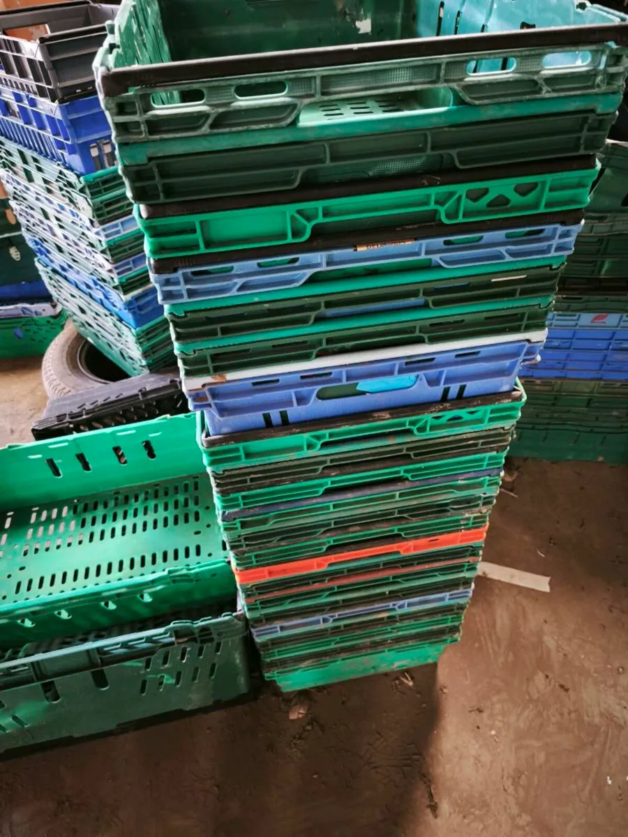 Plastic crates - Image 2