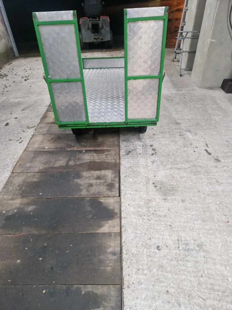 Kids GoKart or quad trailer - Image 3