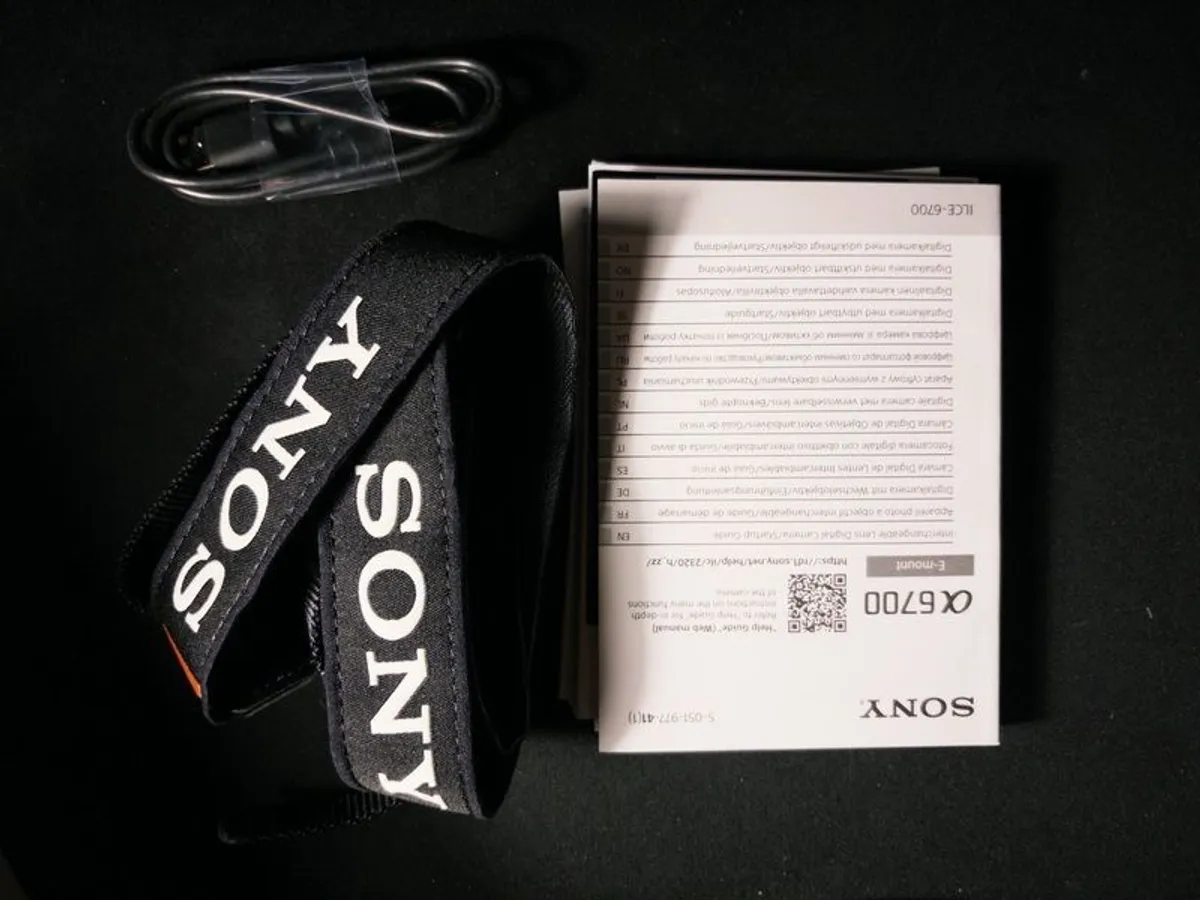 Sony a6700 + Sigma 18-55mm - Image 4