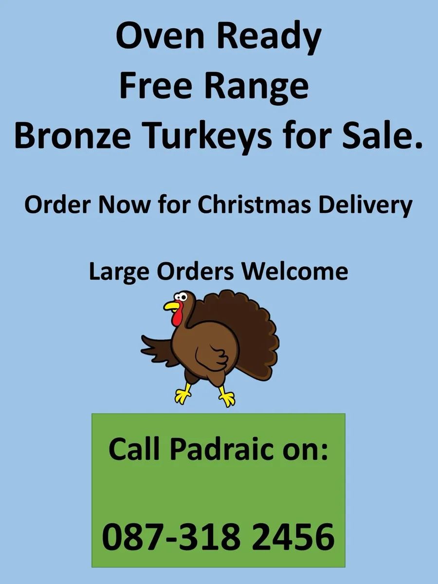 Bronze Christmas Turkeys - Image 1