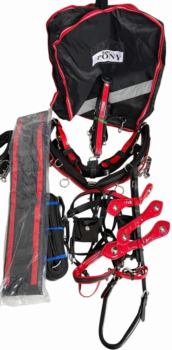 Horse harness - Image 1