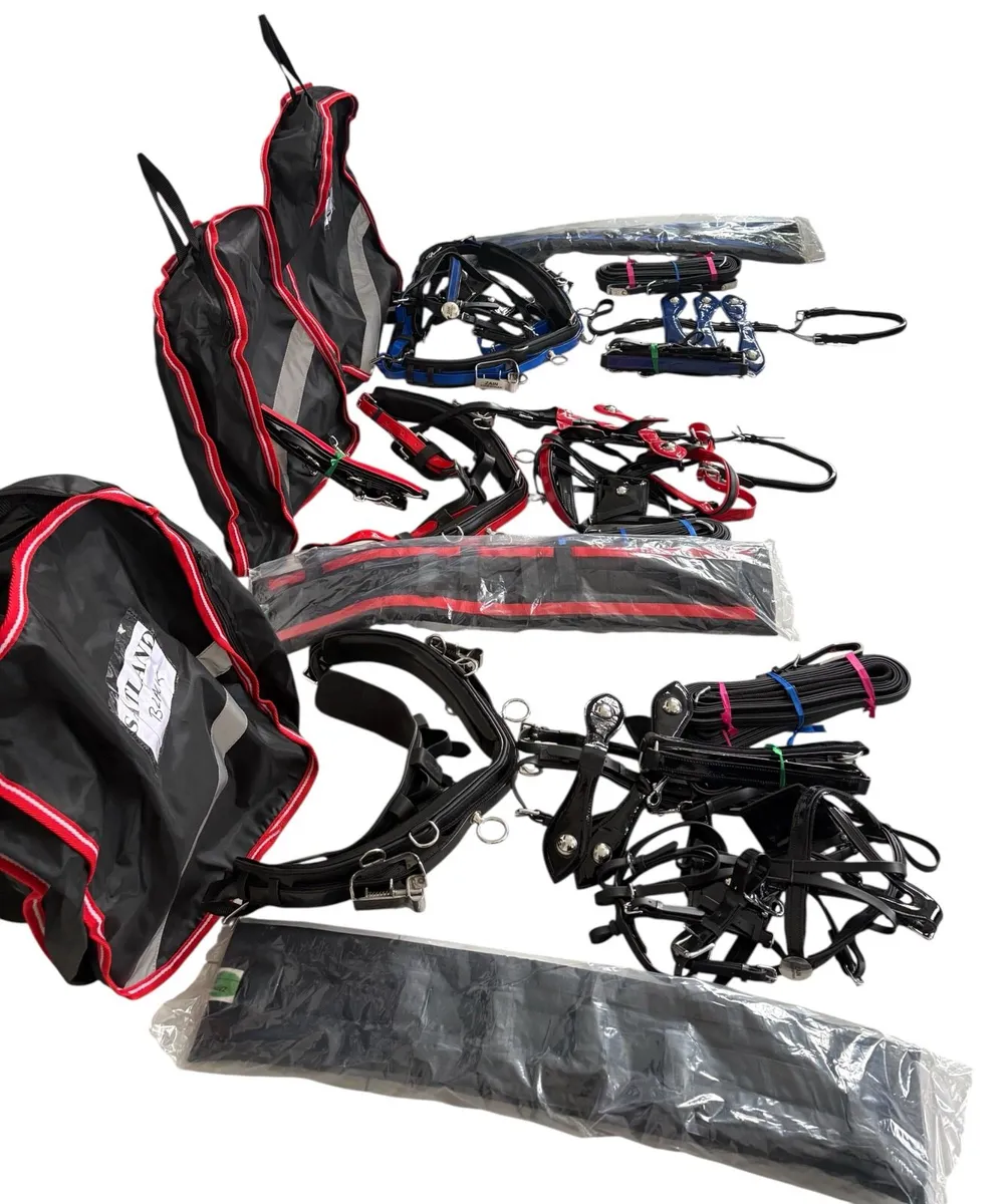 Horse harness - Image 3