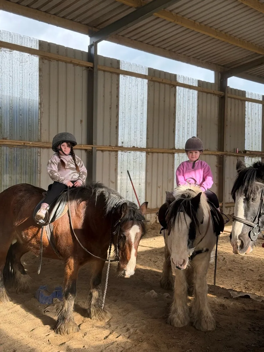 Make your child’s dream come true - Image 4