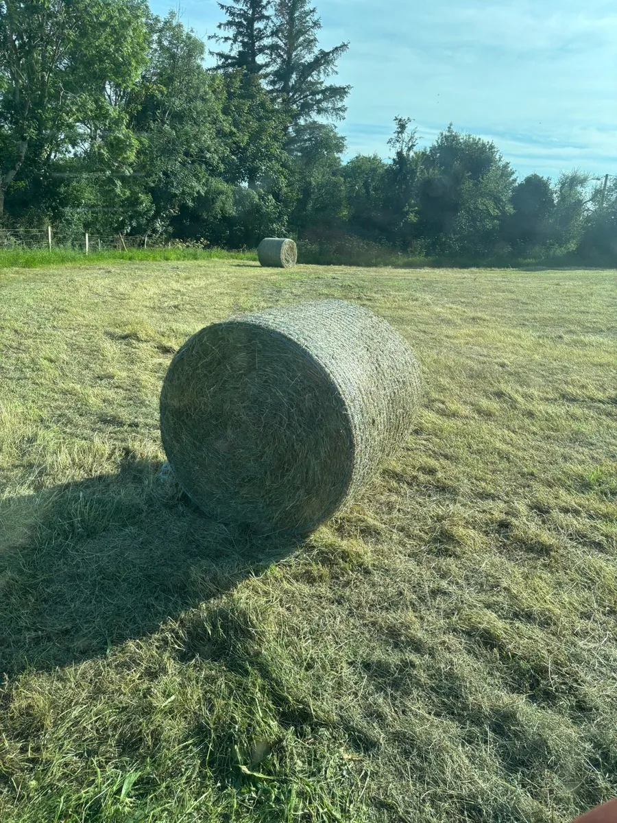 Round Bales of Hay for sale - Image 1