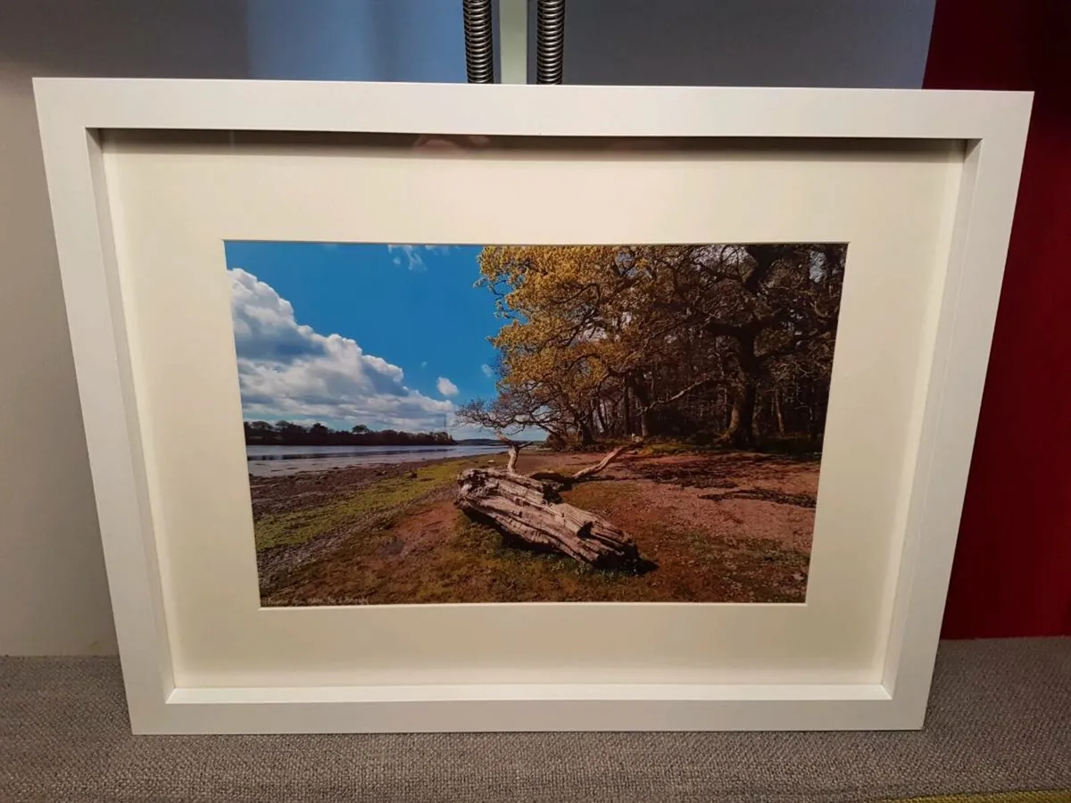 Ballyannan Woods, Midleton - Image 4