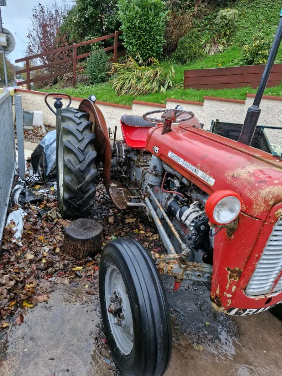 Massey ferguson - Image 2