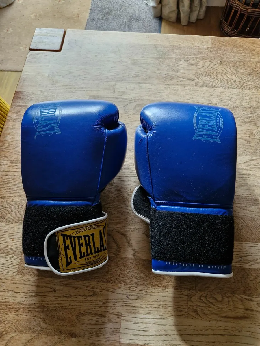 Boxing gloves - Image 4